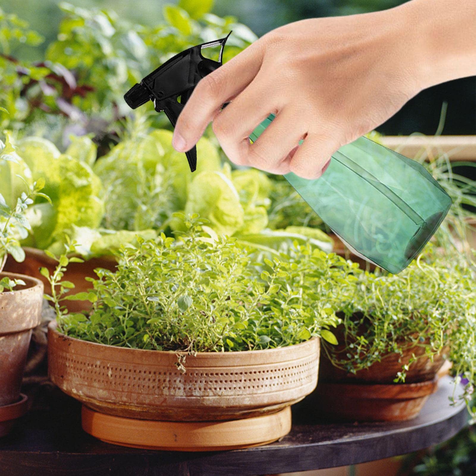 Flacone Spray 500ml Per Piante - Nebulizzatore Con Ugello Regolabile - Per Irrigazione E Pulizia Casa - Foto 7