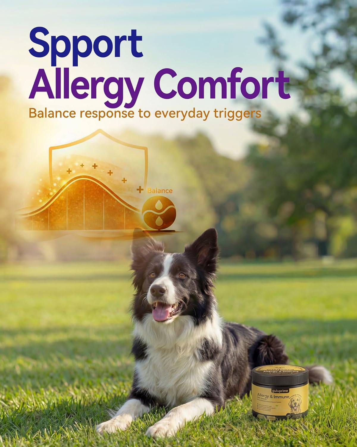 Dog Allergy Relief Chews – Seasonal Allergy Support for Dogs with Environmental Sensitivities, Immune & Gut Health Soft Chews for Allergy-Prone Dogs