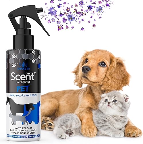 Eliminador de olores para mascotas para el hogar eliminador de olores de orina para un fuerte olor limpiador de alfombras en aerosol desodorante en