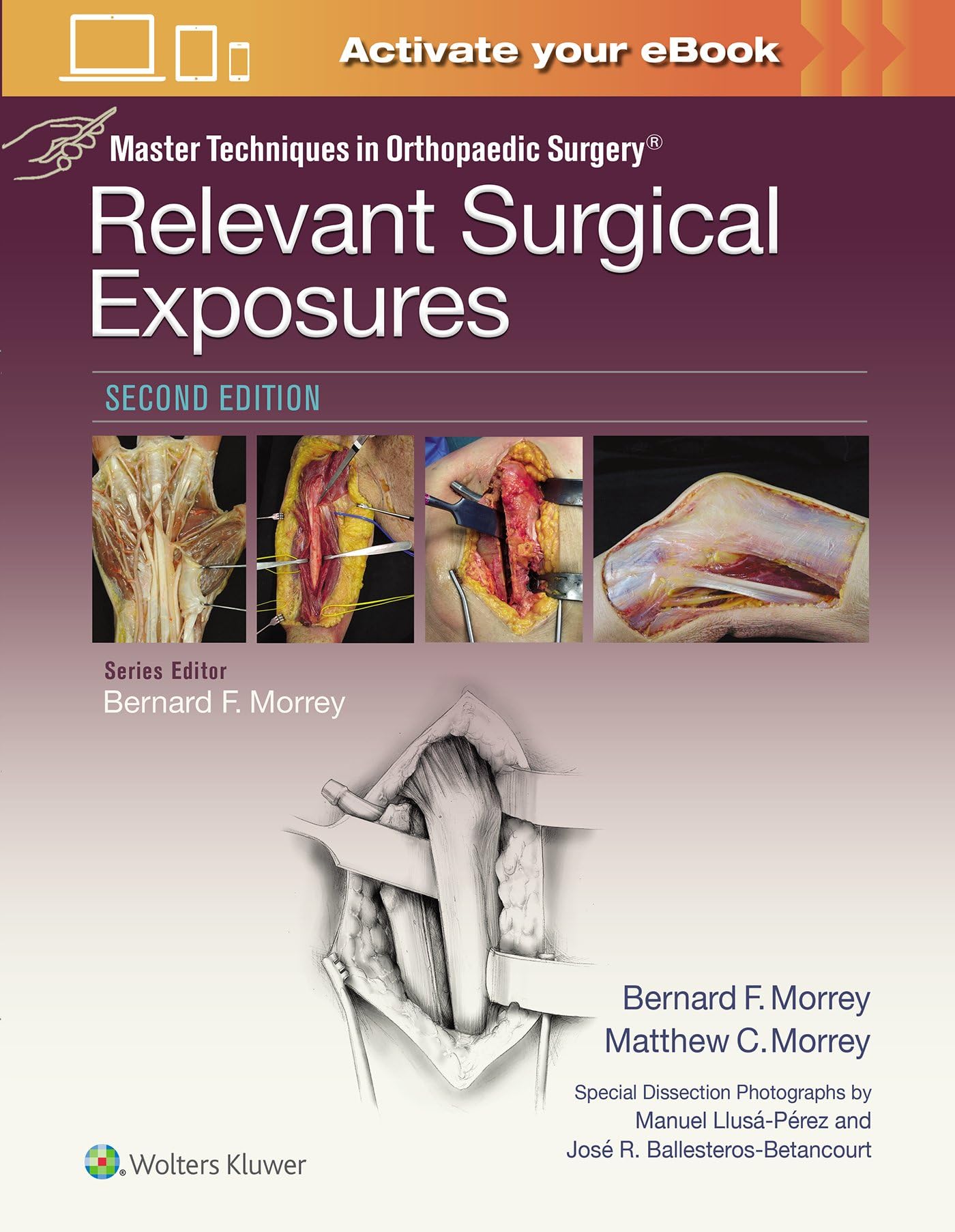 MASTER TECHNIQUES IN ORTHOPAEDIC SURGERY RELEVANT SURGICAL EXPOSURES 2ED (HB 2019)