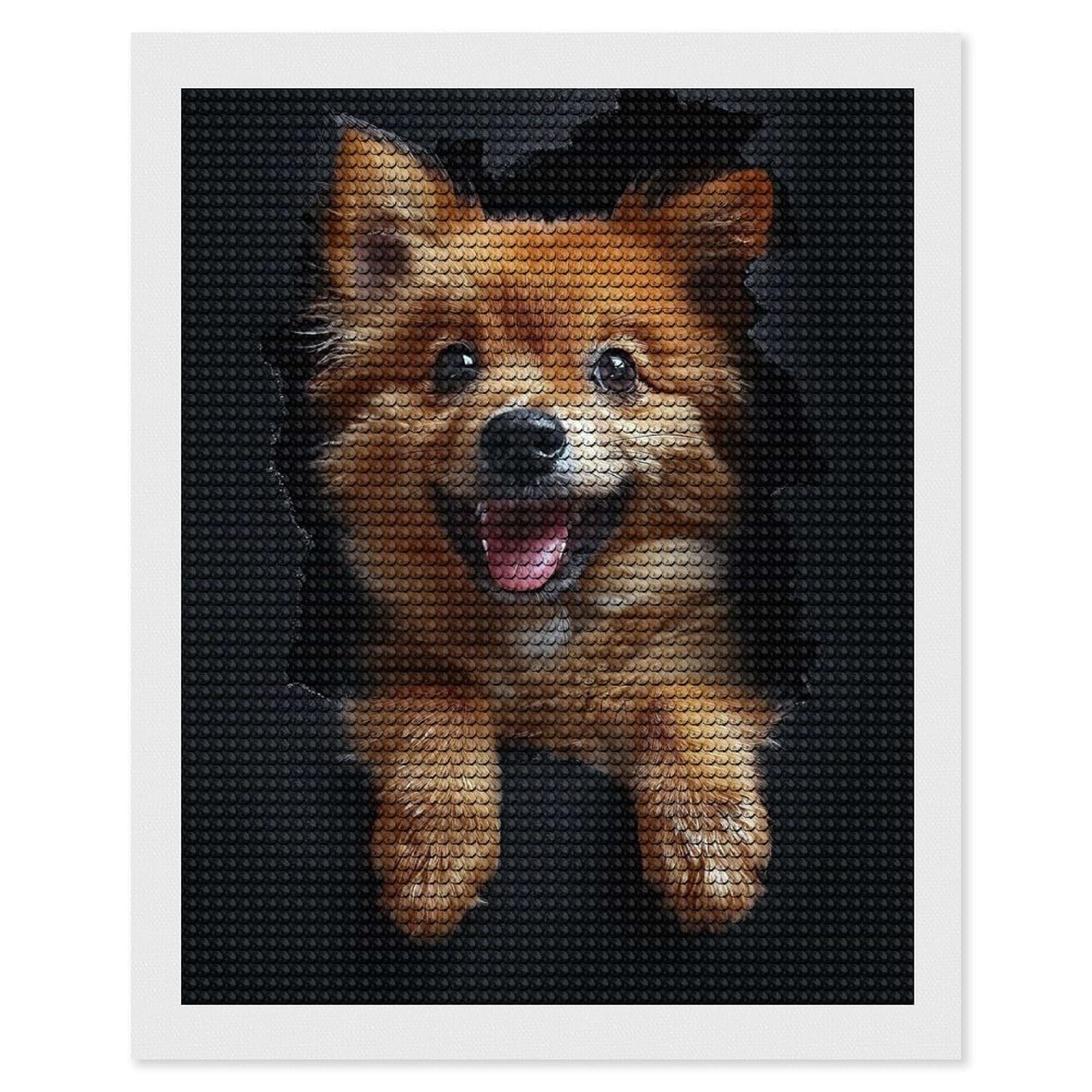 Junmoney Finnish Spitz Diamond Painting Set 16"x20", Modern Decor, for Beginners, Printed Canvas, Thoughtful Handmade Gift, with Tool Kit
