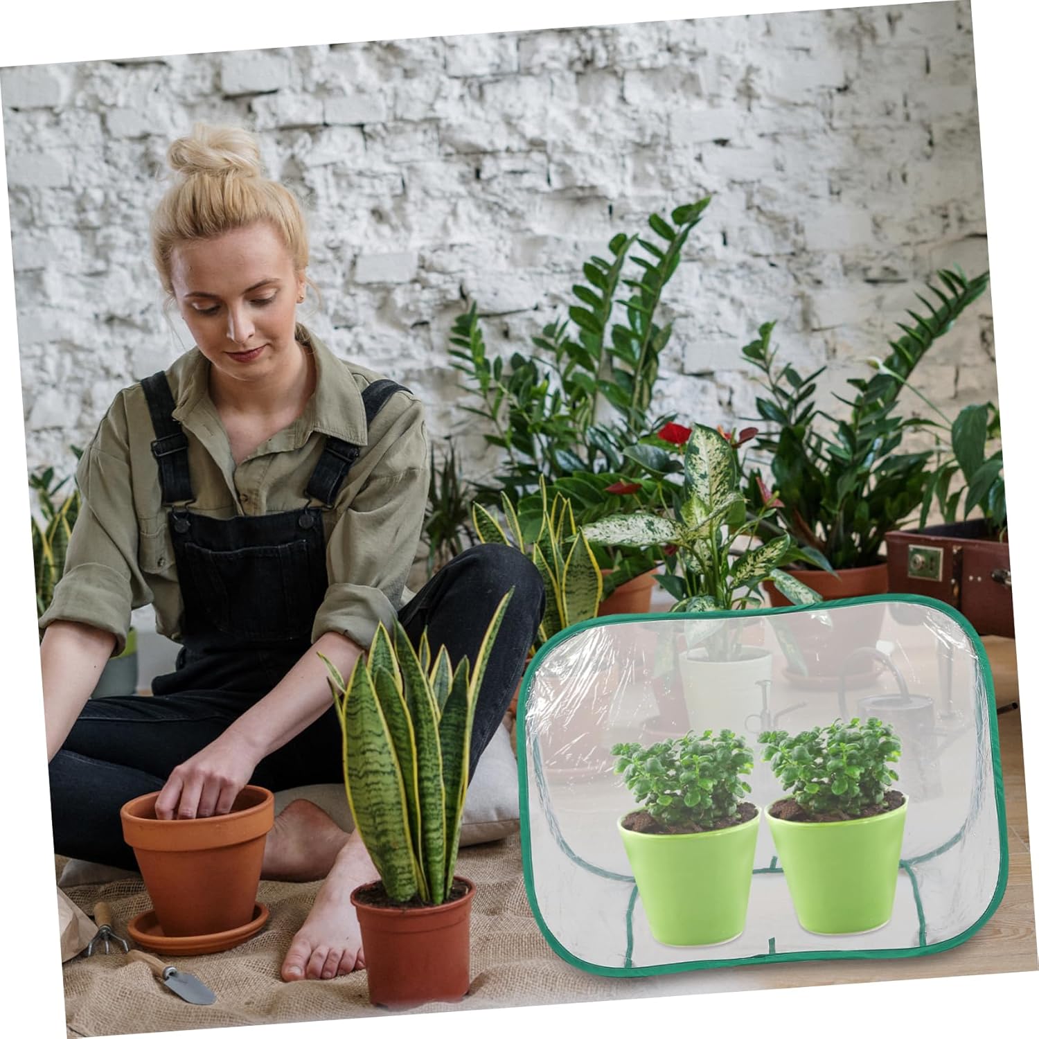 Portable Foldable Mini Greenhouse Cover for Outdoor Use Durable Plant Shelter for Succulents and Small Plants Space-Saving Design for Optimal Growth