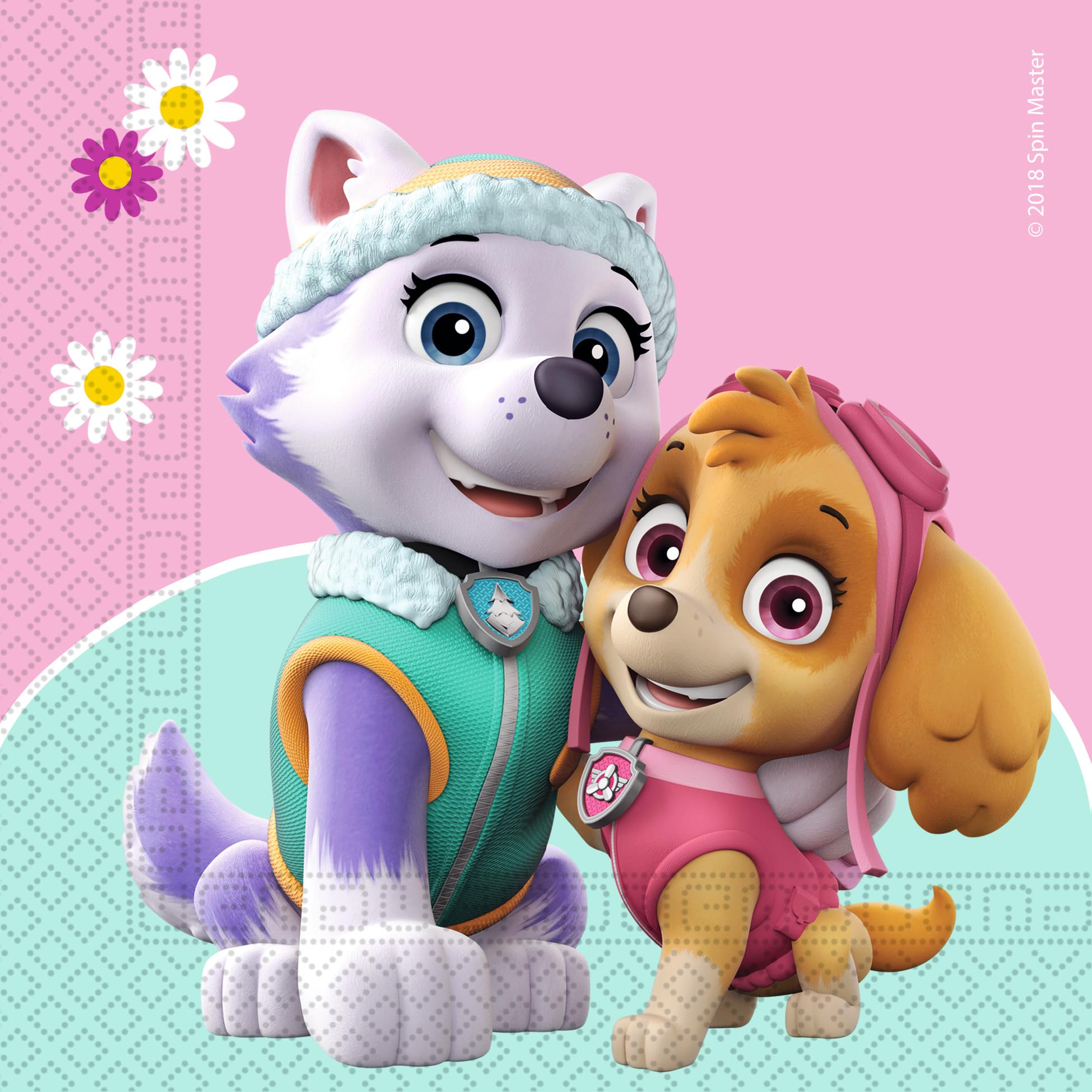 Procos 10215312DY - Set da festa Skye e Everest, stoviglie monouso da 46 pezzi per feste di compleanno e feste a tema per bambini, decorazione della tavola