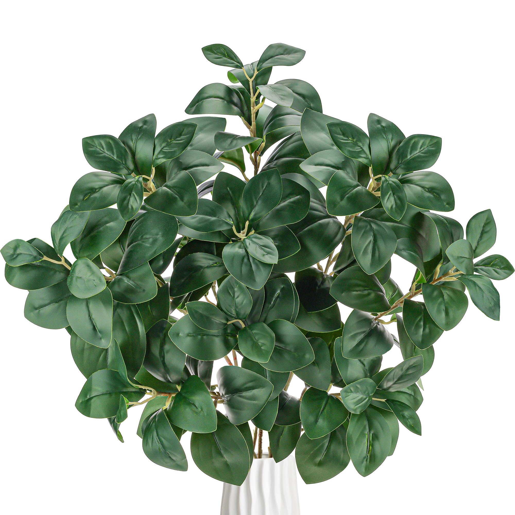 Plantes à feuilles larges de magnolia pour décoration de mariage et grand vase lot de 3
