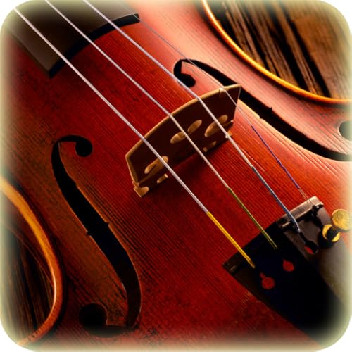 Violin Simulator