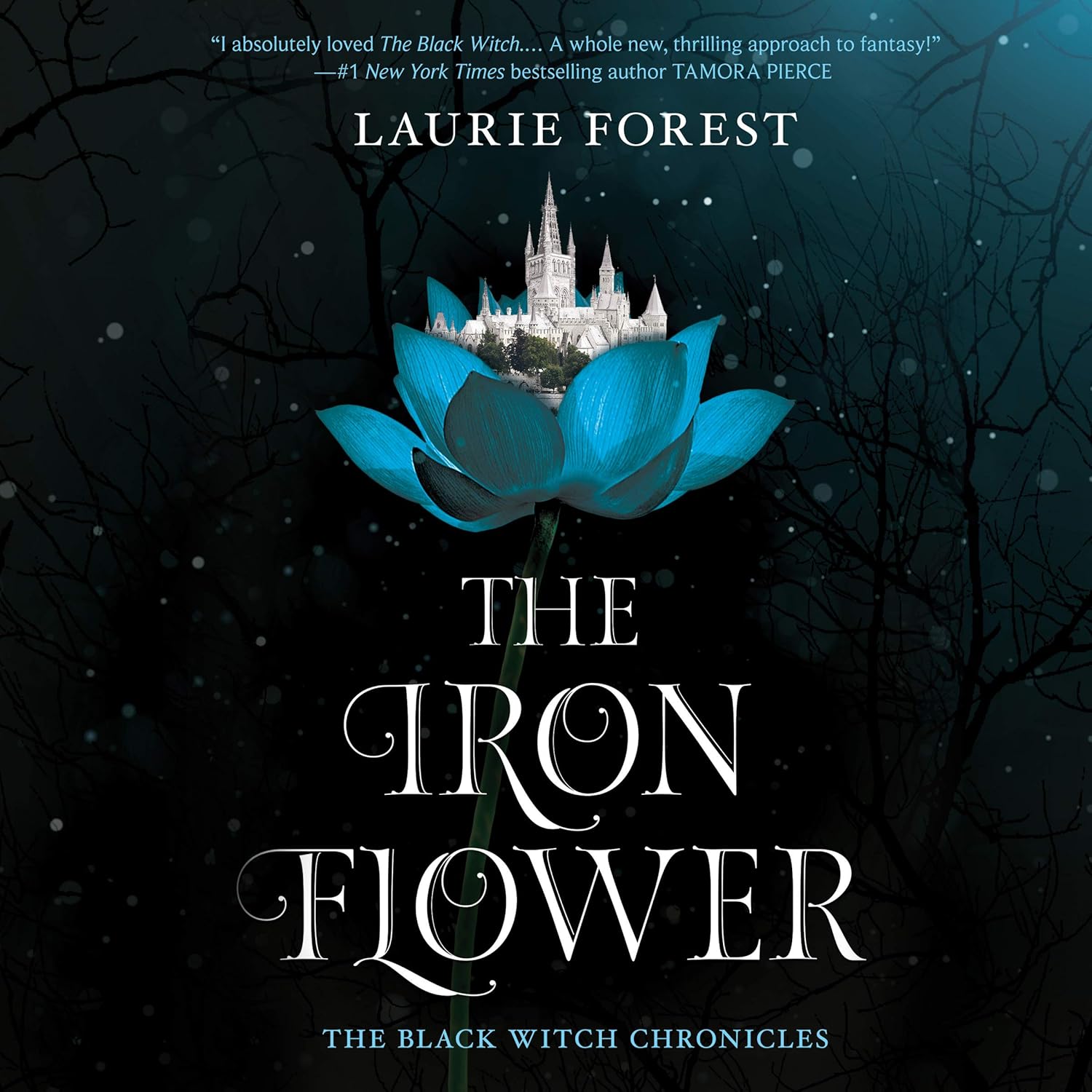 The Iron Flower (Black Witch Chronicles 2)