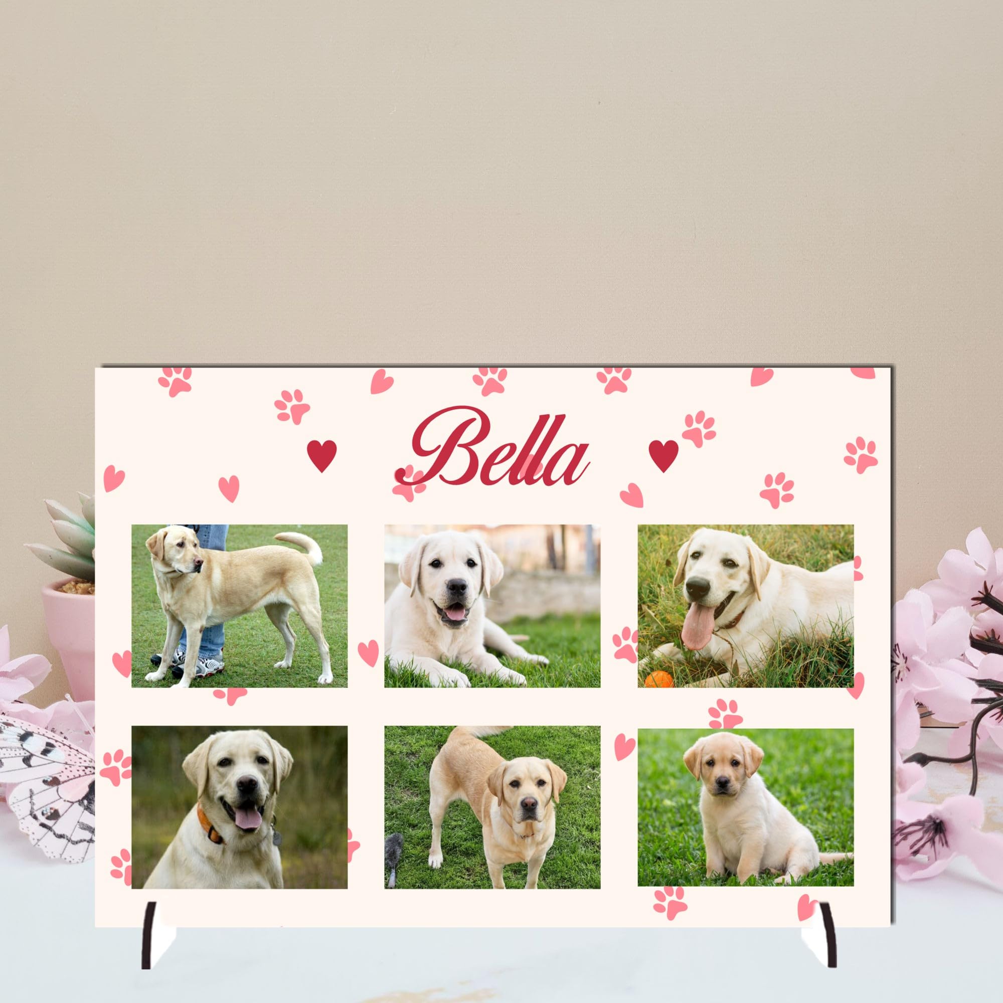 View 9