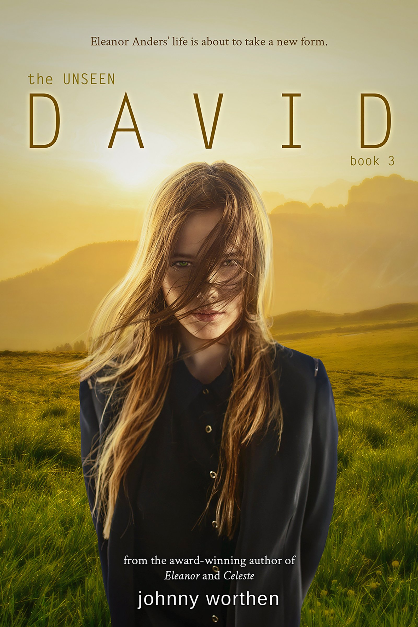 Buy David (Unseen) — BookShops.in