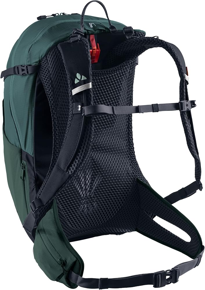 Amazon.co.jp: VAUDE Tremalzo 22 Backpack Dusty Forest One Size