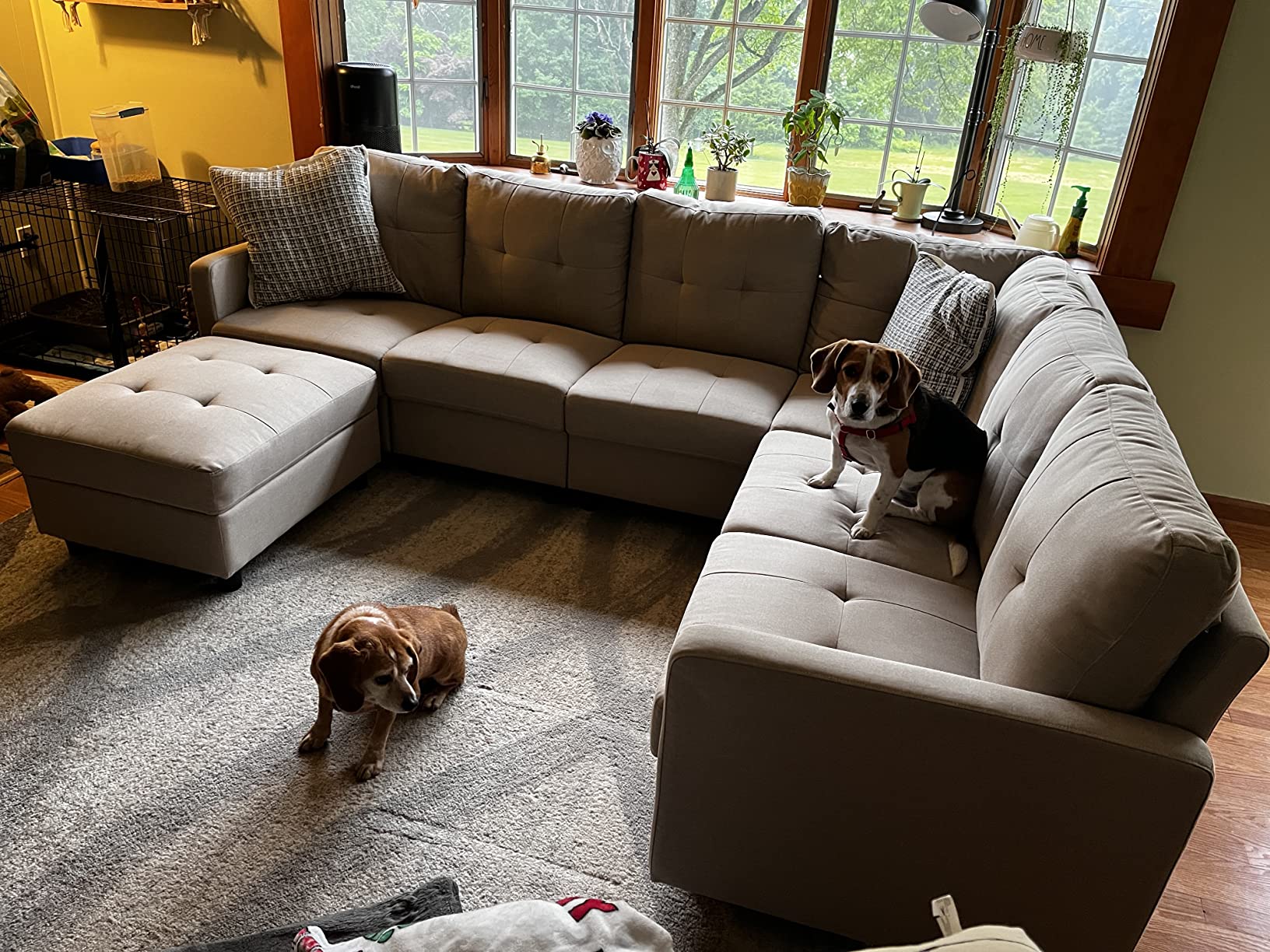 58/mo Finance DAZONE Modular Sectional Sofa Assemble 6Piece Modular