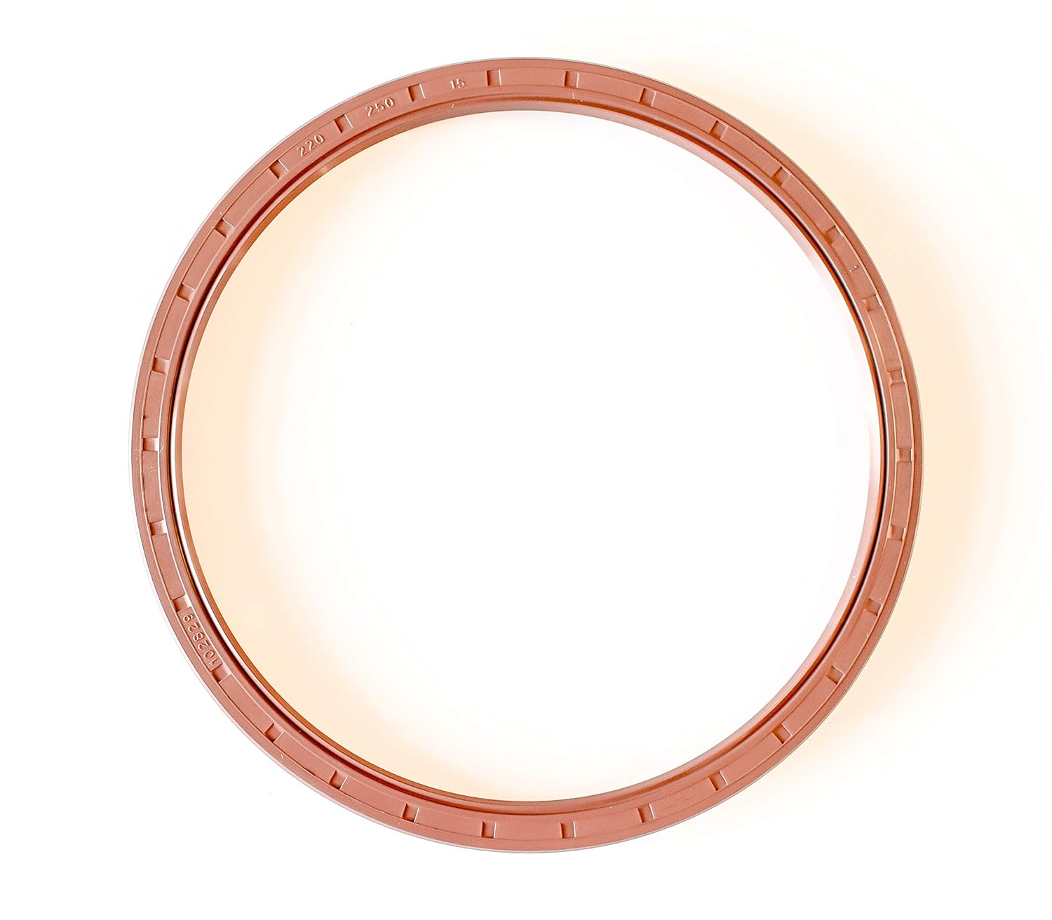 EAI 220mm x 250mm x 15mm FPM/FKM TC Double Lip w/Stainless Steel Spring Oil Seal. Comp. /w Viton Shaft Seal