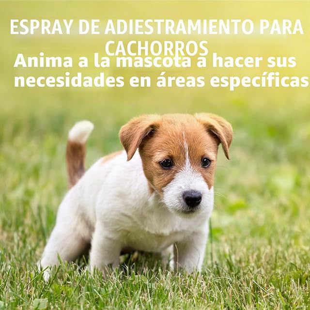 Foto 4 de 5 de Simple Solution Ayuda para el Adiestramiento de Cachorros y Perros, 500 ml (Paquete de 1)