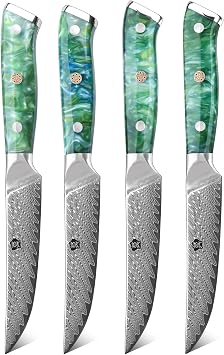 WILDMOK Steak Knives, 5 inch Non Serrated Japanese Damascus VG10 Steel Steak Knives Set of 4, Dishwasher Safe, Premium Set with Gift Box