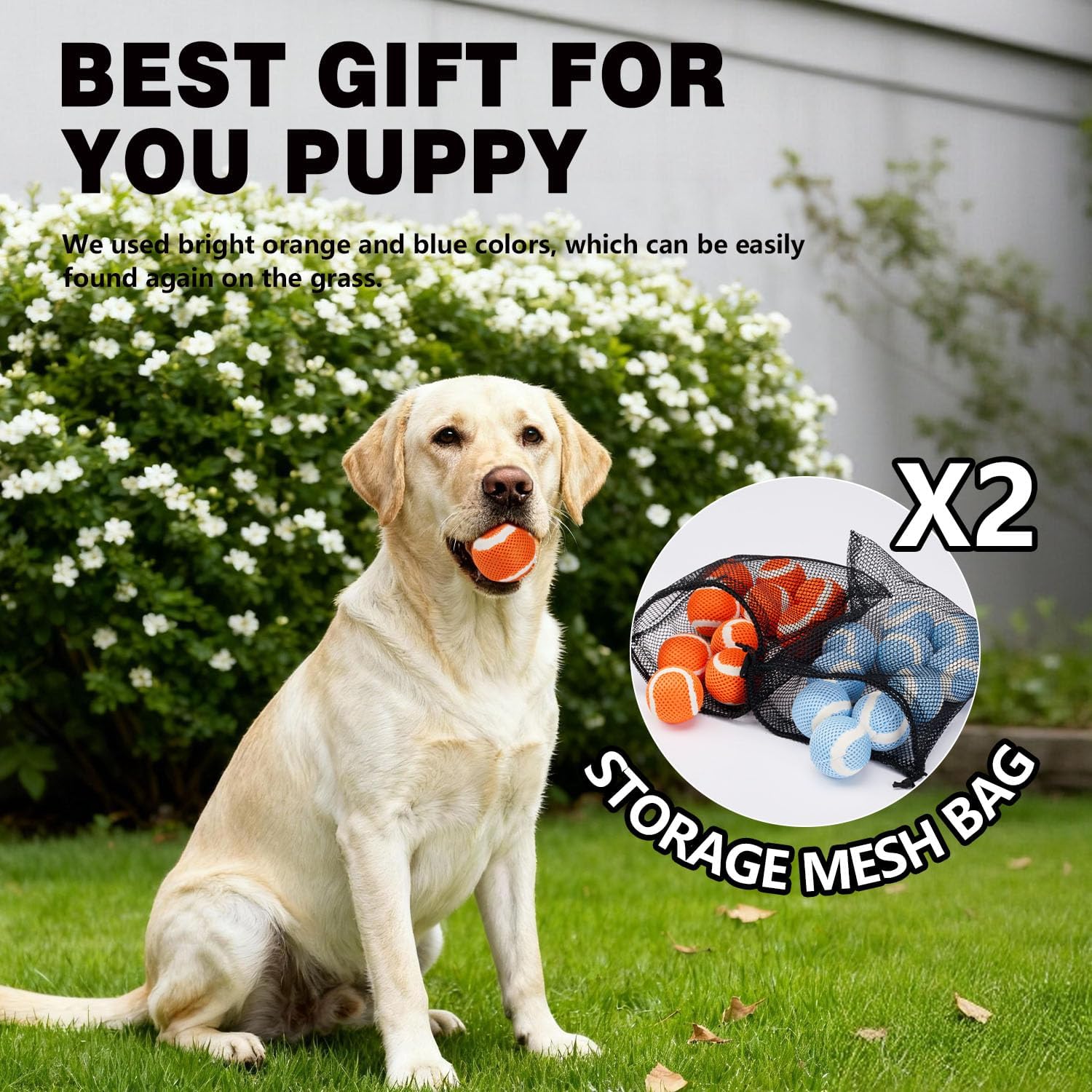 MECOOL Tennis Balls for Dogs 2.5in 20PCS Fetch Interactive Dog Balls Durable Toys for Cleaning Teeth Indoor/Outdoor Playing for Dogs(Blue and Orange)