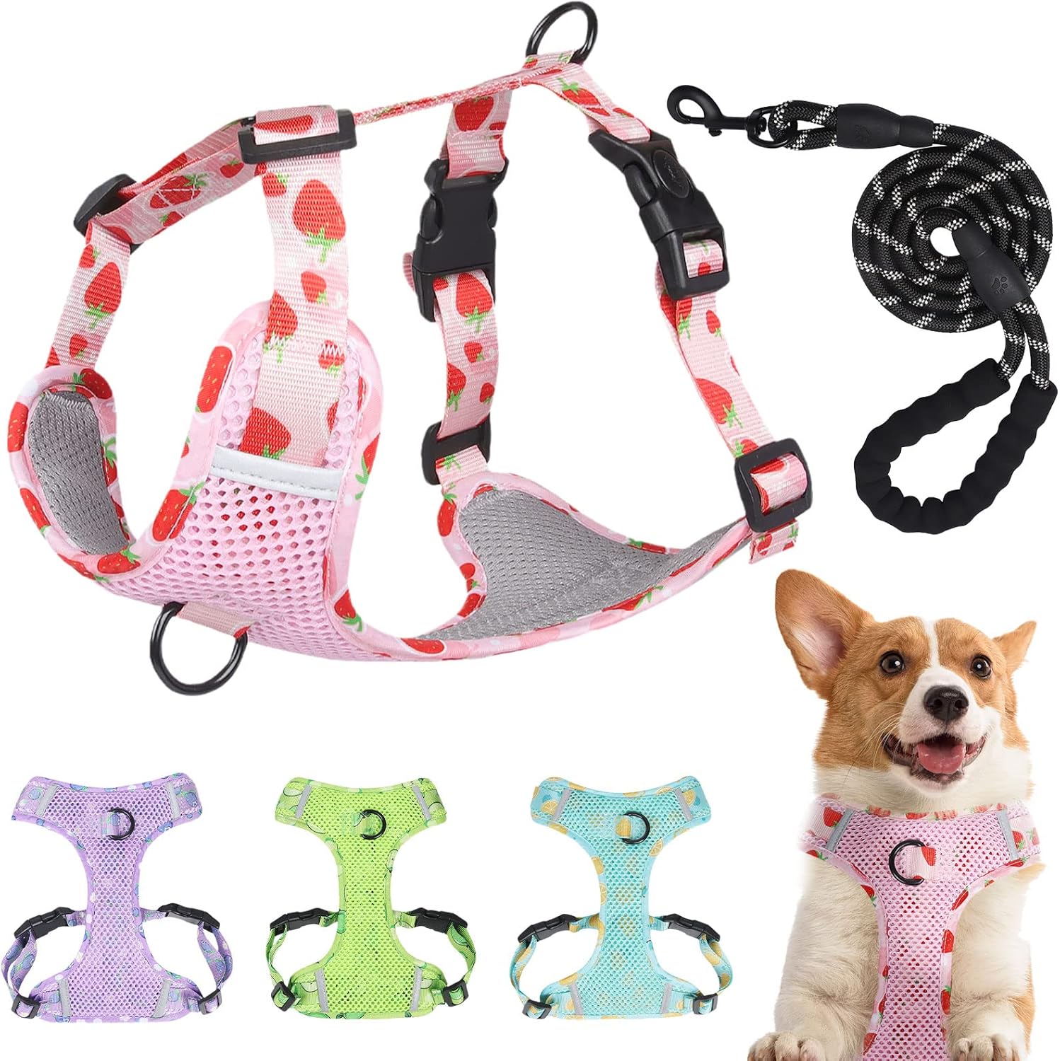 Amazon.com : PETCARE Cute Dog Harness and Leash Set No Pull Upgraded ...