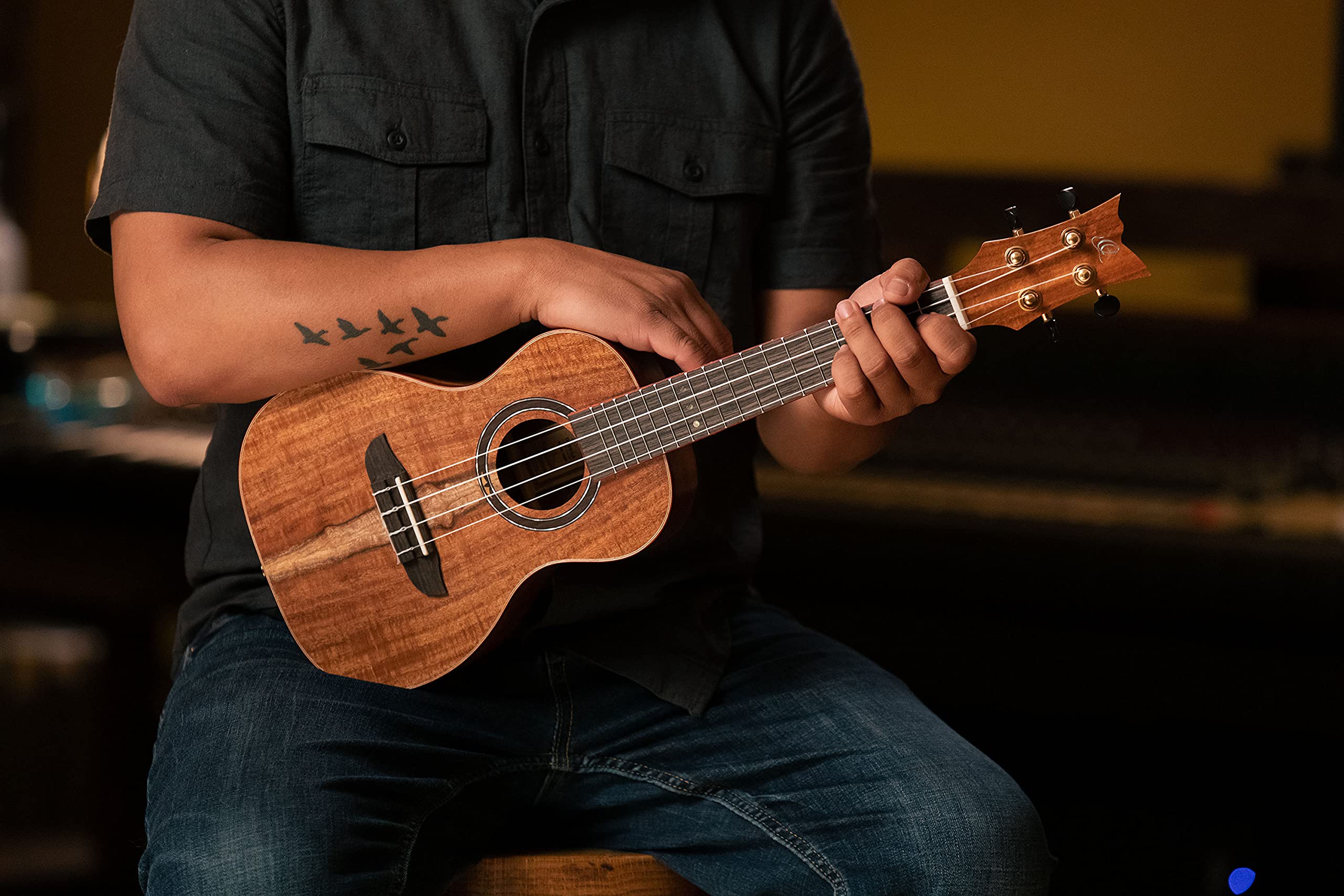 Ortega Guitars Ukulélé Concert Acoustique – Série Timber – Housse Incluse – Acacia, Naturel (RUACA-CC)