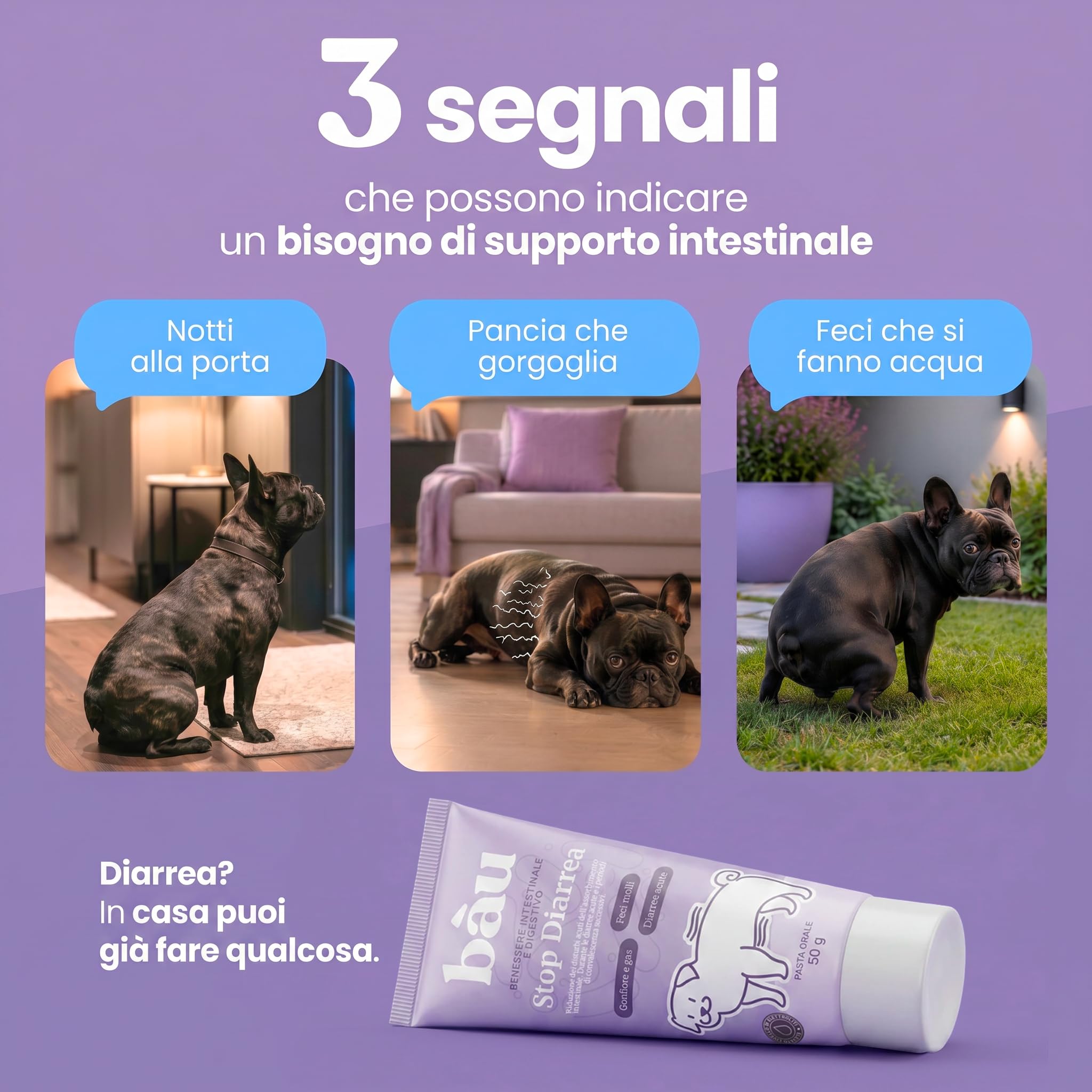 Bau Sollievo Intestinale Cane per Diarrea in Pasta con Elettroliti e Fibre, Mangime Complementare Supporto Regolarità Intestinale, Formula Appetibile per Cani e Cuccioli, Facile da Somministrare
