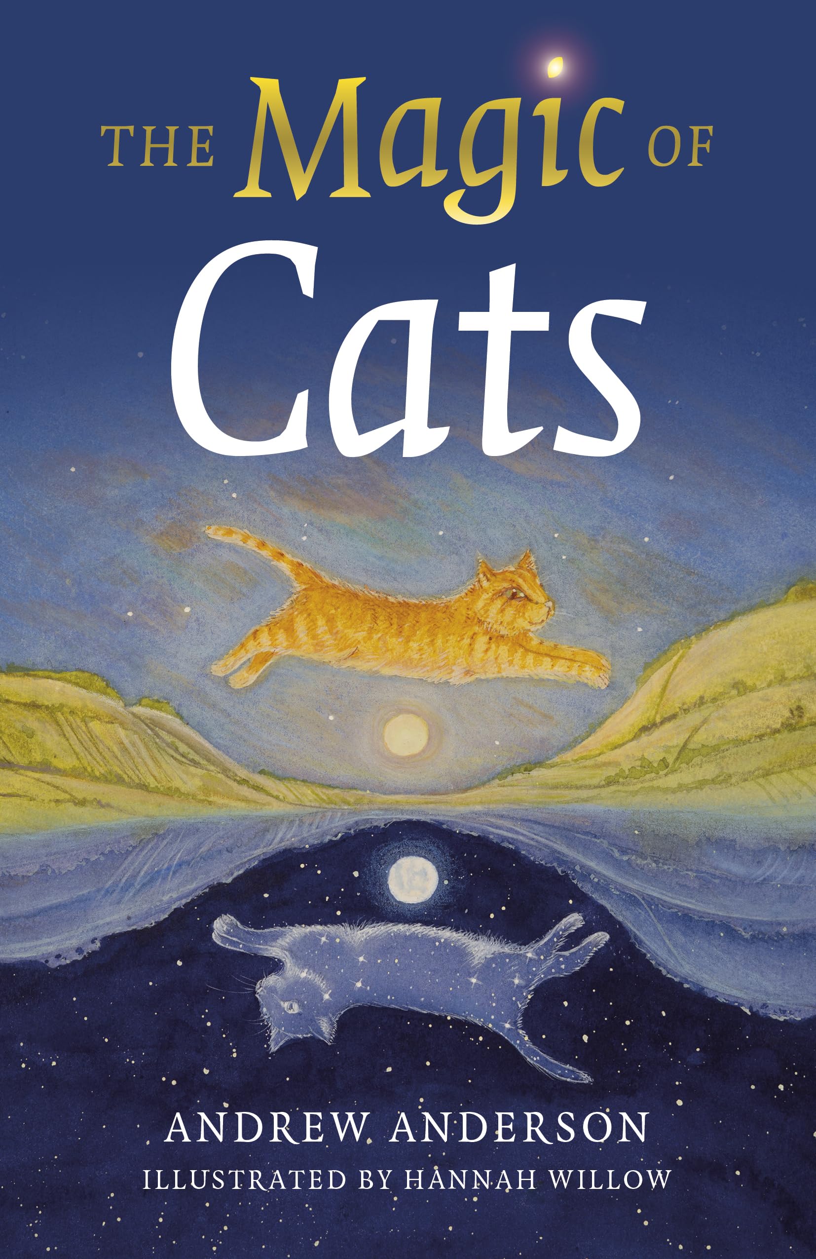 Magic of Cats, The by Andrew Anderson (Paperback Book)