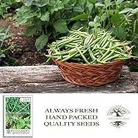Vista 4 de Semillas de frijol de jade para plantar, más de 50 semillas de reliquia por paquete, semillas de jardín de Isla (semillas de jardín de Isla)