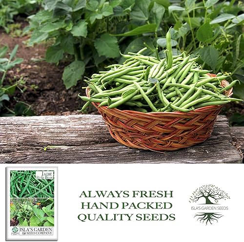 Miniatura 4 de Semillas de frijol de jade para plantar, más de 50 semillas de reliquia por paquete, semillas de jardín de Isla (semillas de jardín de Isla),