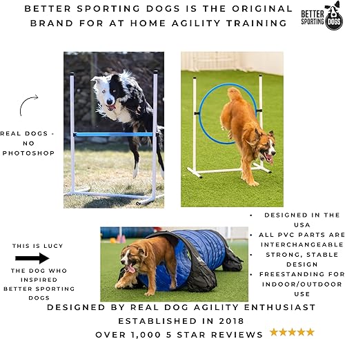 Miniatura 3 de Better Sporting Dogs Juego de curso de agilidad para patio trasero, 7 piezas de equipo de entrenamiento de agilidad para interiores y exteriores