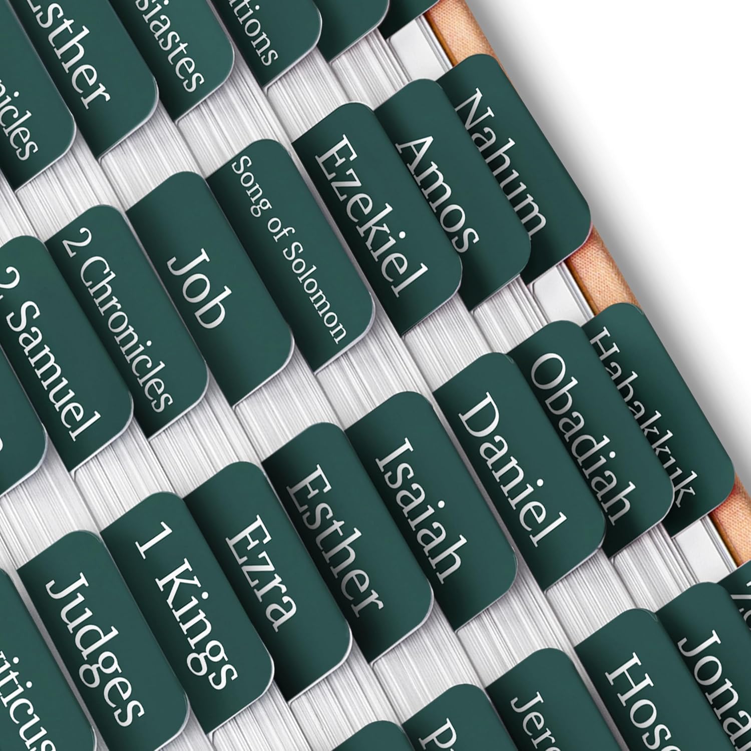 - Laminated Bible Tabs, 75 pcs, Easy-to-Read & Apply thumbnail