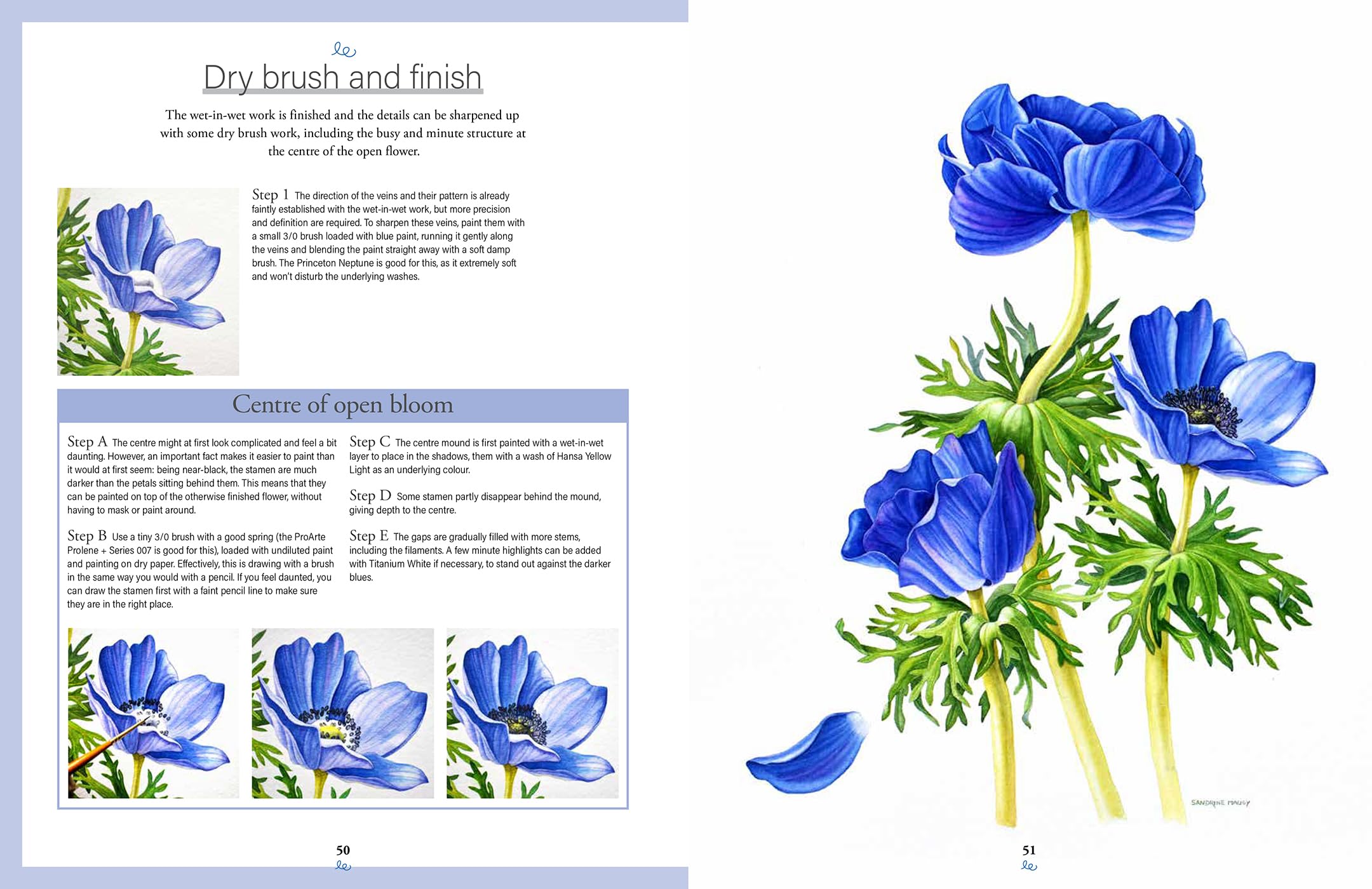Botanical Watercolours through the seasons: An All-year-round Guide to Painting Flowers and Plants