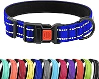 Vista 45 de CollarDirect Reflective Dog Collar for a Small, Medium, Large Dog or Puppy with a Quick Release Buckle - Boy and Girl - Nylon Suitable for Swimming