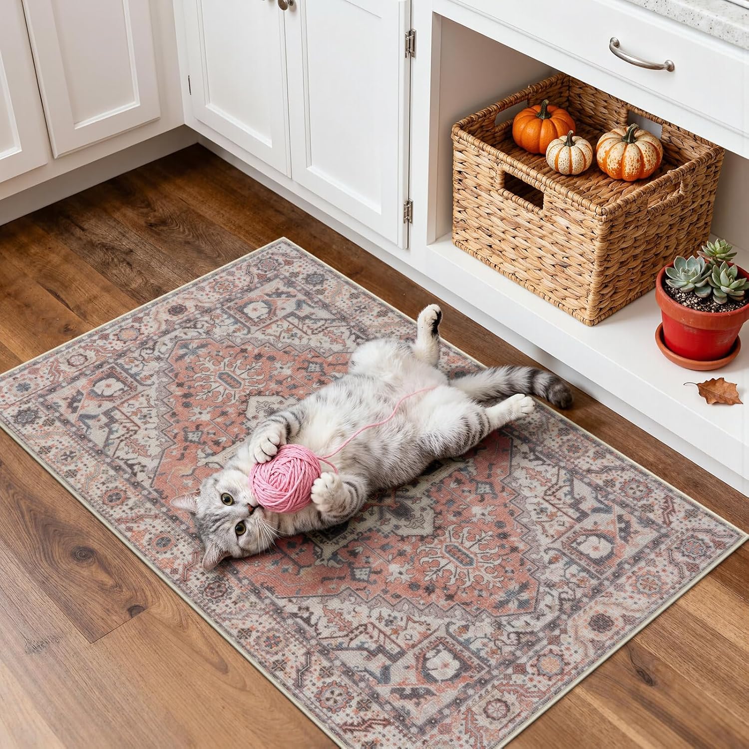 Collive Washable 2x3 Small Rug, Non Slip Retro Door Mat Indoor Entrance, Quick Absorbent Floor Welcome Front Indoor Door Mat, Rugs for Entrayway Doormats for Kitchen Home Patio