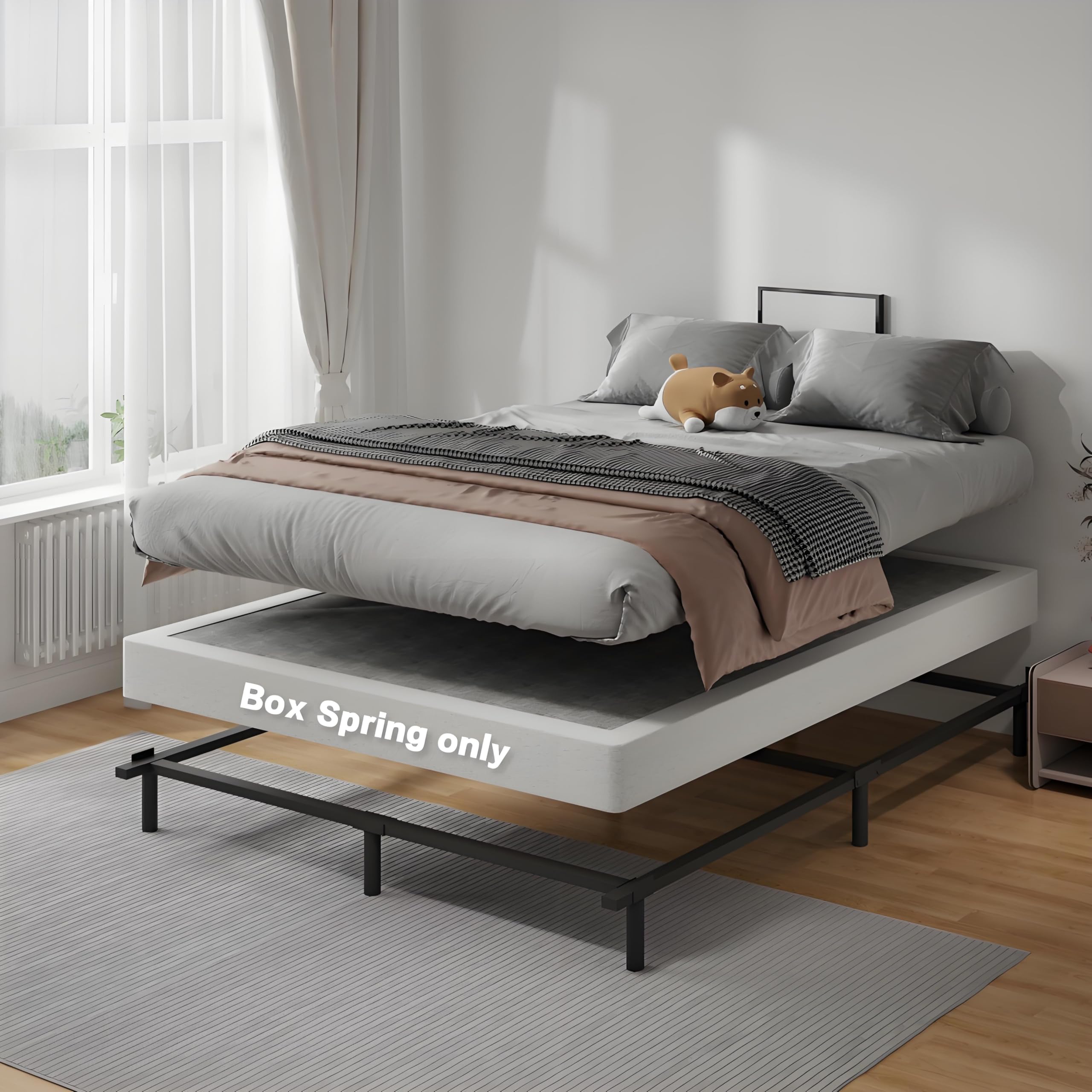 https://m.media-amazon.com/images/I/81FdicduLTL.jpg
