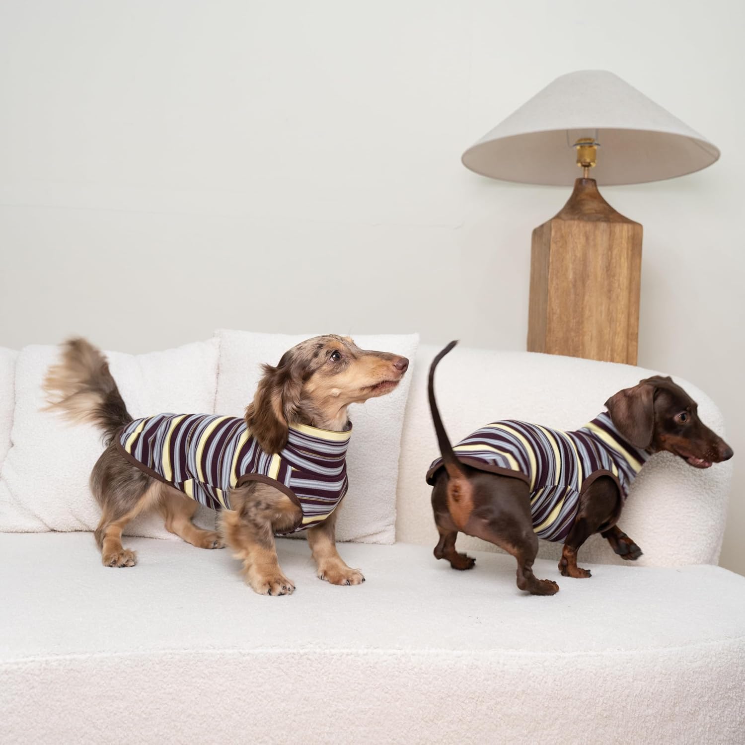 Dachshund Dog Sleeveless Onesie, Cozy Turtleneck Stripped Shirt for Mini Dachshund Italian Greyhound Whippets (L (13-17 lbs))