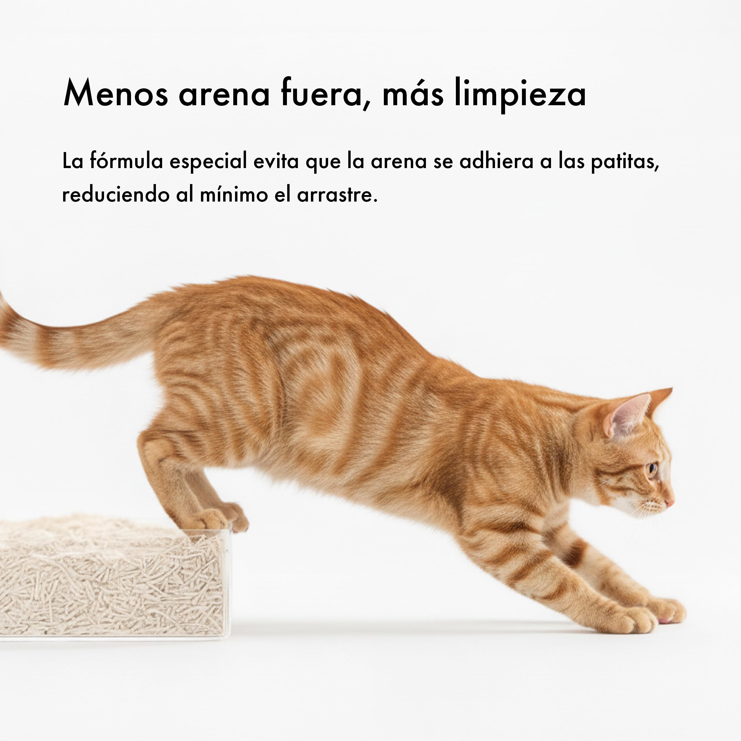 BESCH Pack 6 Arena de Tofu Aglomerante para Gatos 6L– 100% Natural, Biodegradable, Control de Olores y Bajo Polvo