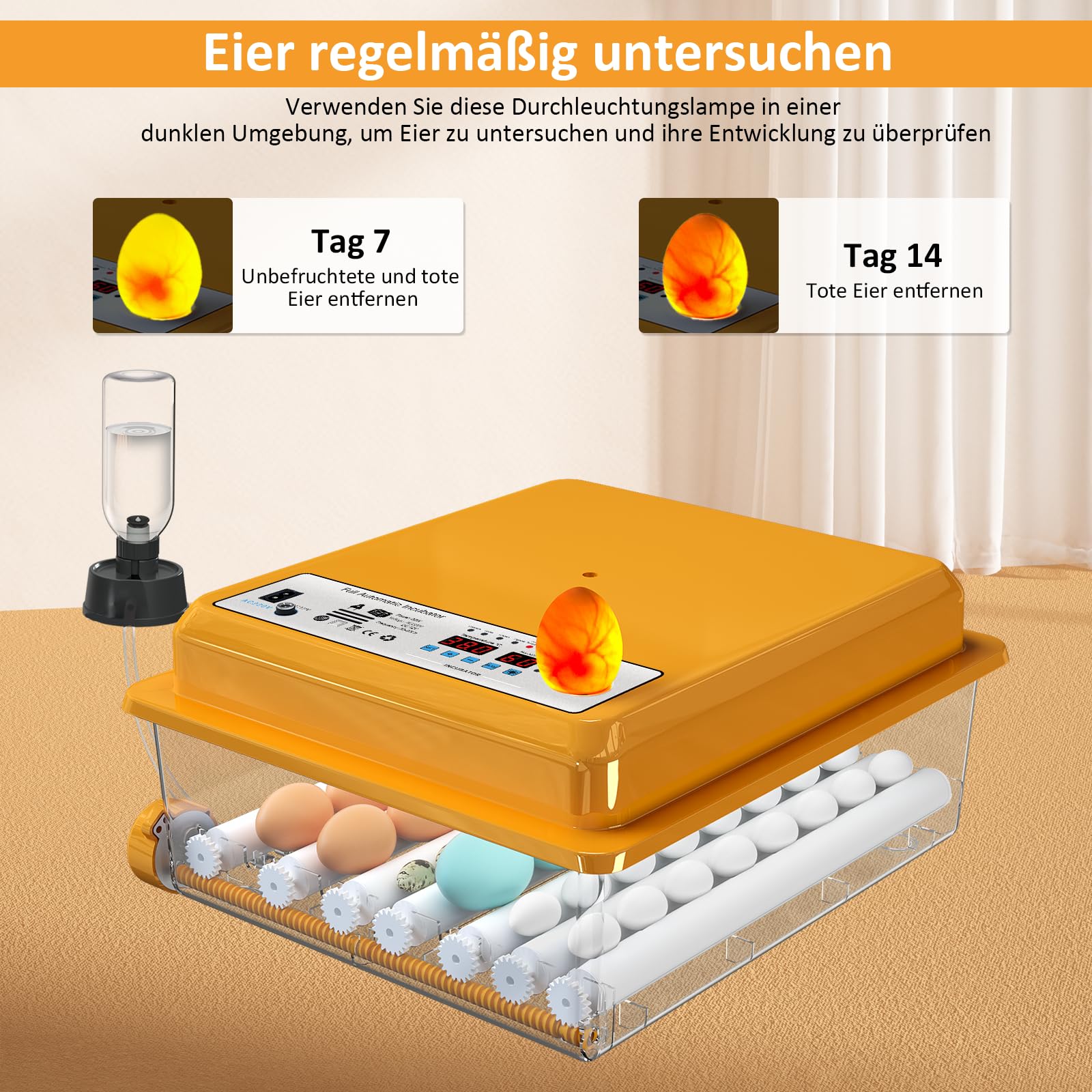Brutautomat Vollautomatisch 36 Eier mit Temperaturregelung, Brutmaschine mit 5 automatischen Brutmodi, Inkubator Feuchtigkeitsanzeige, Brutkasten automatischer Wasserauffüllung und Eierwende
