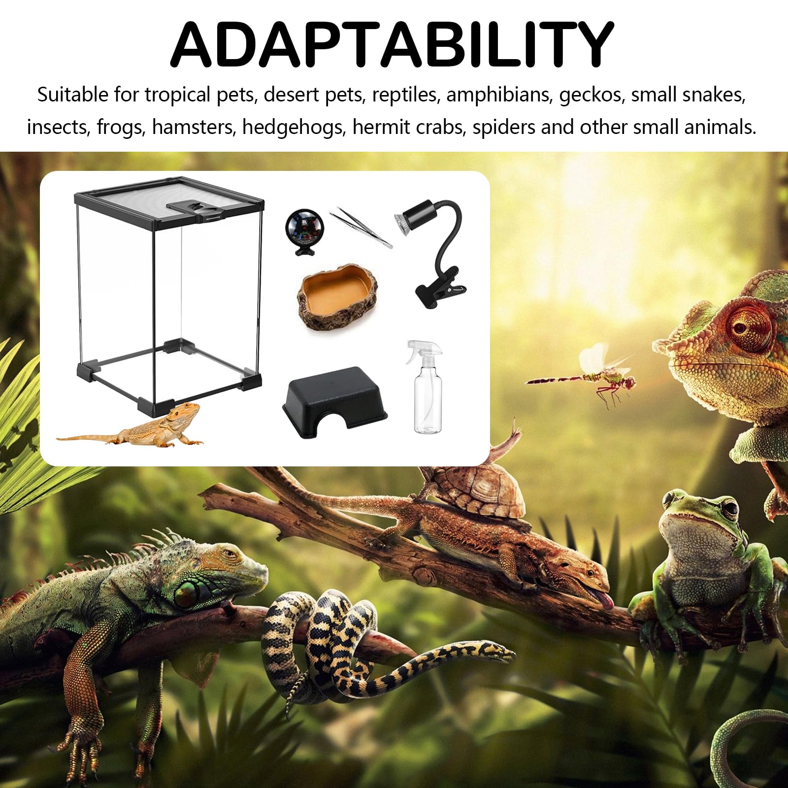 Set Terrario, Terrario per Rettili in Vetro 20 x 20 x 30 cm con Lampada per Rettili Termometro Nascondiglio con Motivo di Pietra Ciotola per il Cibo Pinzette e Piccolo Annaffiatoio per Rettili