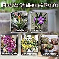 Vista 4 de Mezcla para macetas de corteza de orquídea, 3 cuartos de galón, mezcla de corteza de pino, perlita orgánica, musgo esfagnum y arcilla de leca