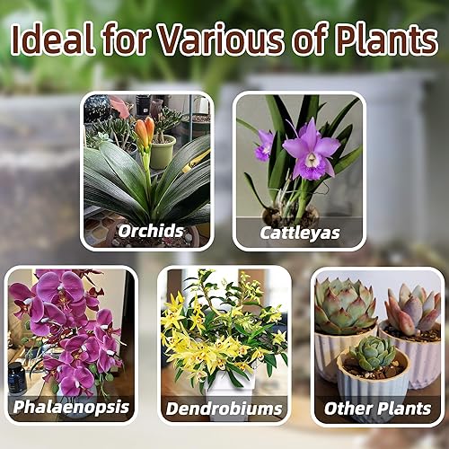 Miniatura 4 de Mezcla para macetas de corteza de orquídea, 3 cuartos de galón, mezcla de corteza de pino, perlita orgánica, musgo esfagnum y arcilla de leca