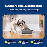 Vista 6 de PetSafe Drinkwell Ceramic Pet Water Fountain - Quiet Automatic 70oz Dispenser for Cats & Dogs with Filters - Dishwasher Safe Square Design