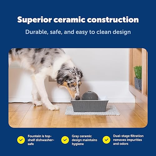 Miniatura 6 de PetSafe Drinkwell Ceramic Pet Water Fountain - Quiet Automatic 70oz Dispenser for Cats & Dogs with Filters - Dishwasher Safe Square Design