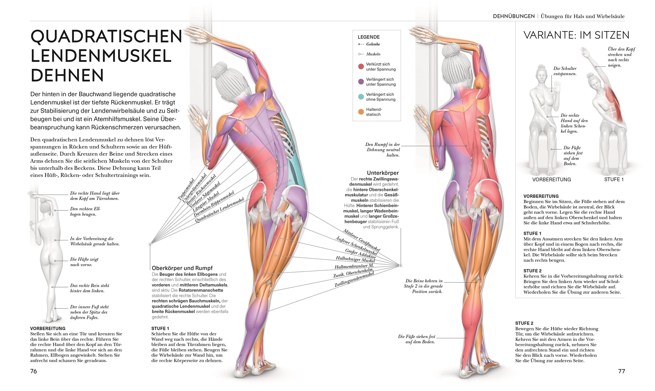 Stretching - Die Anatomie verstehen: Mit Dehnübungen für mehr Beweglichkeit. Grafiken geben Einblicke in die Muskel- und Gelenkarbeit