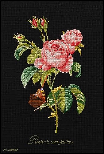 Thea Gouverneur - Kit de punto de cruz con conteo - Rosa Redouté - Aida Black - 18 unidades - Kit de bordado para adultos - Hilos de bordado DMC y