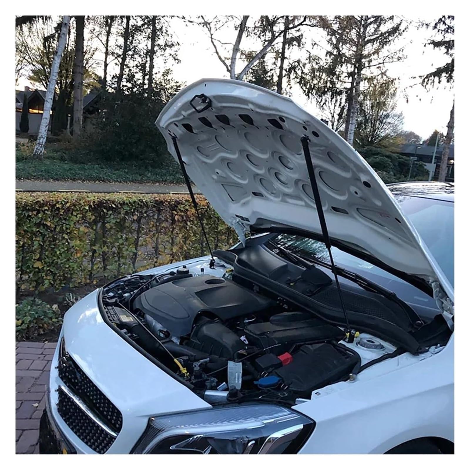 Capot Avant Ressort pour Benz GLA 2015 2016 2017 2018 2019 2020 Voiture Avant Capot Vérins de Capot Ressorts Amortisseurs Barres Levage(Green)