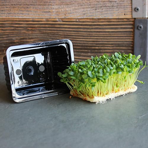Miniatura 2 de Handy Pantry Micro Punnet Microgreens - Bandejas de cultivo de una sola porción  Paquete de 10  2 pulgadas por 3 pulgadas  2 pulgadas de alto