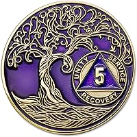 Vista 1 de Medallón AA de 5 años – Árbol de la Vida trenzado chapado en oro AA Chip de recuperación – morado