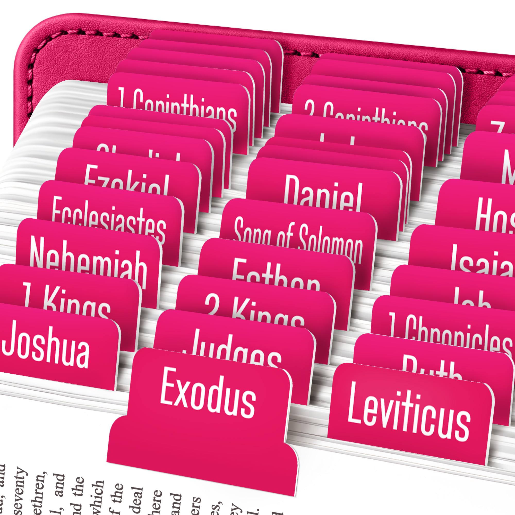 EssexWares - Raspberry Bible Tabs for Old and New Testament, 80 Large Print Tabs for Bible Study, Water-Resistant and Durable Index Tabs for Women and Men - 1.7" Wide