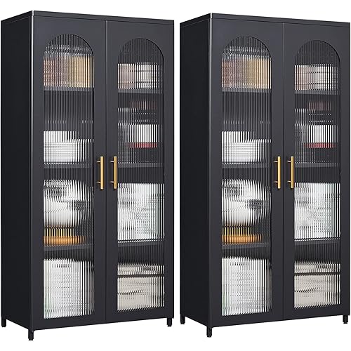 ZONLESON Metal Storage Cabinet,Accent Cabinet with Glass Doors,Storage Cabinet Modern Cabinet for Living Room,Hallway or Entryway Metal Cabinet,Display Storage Cabinet with Glass Doors(2 TallDoor-2)