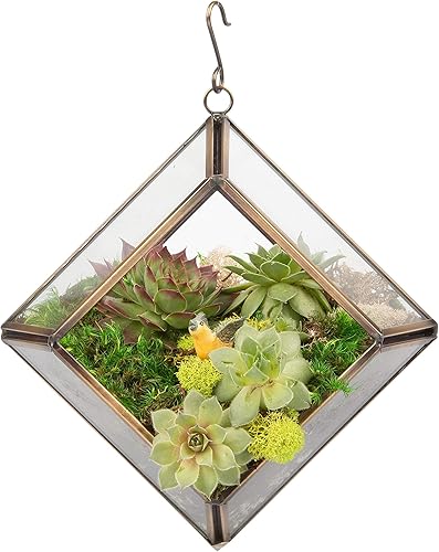 Miniatura 3 de Terrario geométrico de vidrio decorativo para plantas suculentas y de aire forma de mini diamante colgante para decoración de jardinería interior