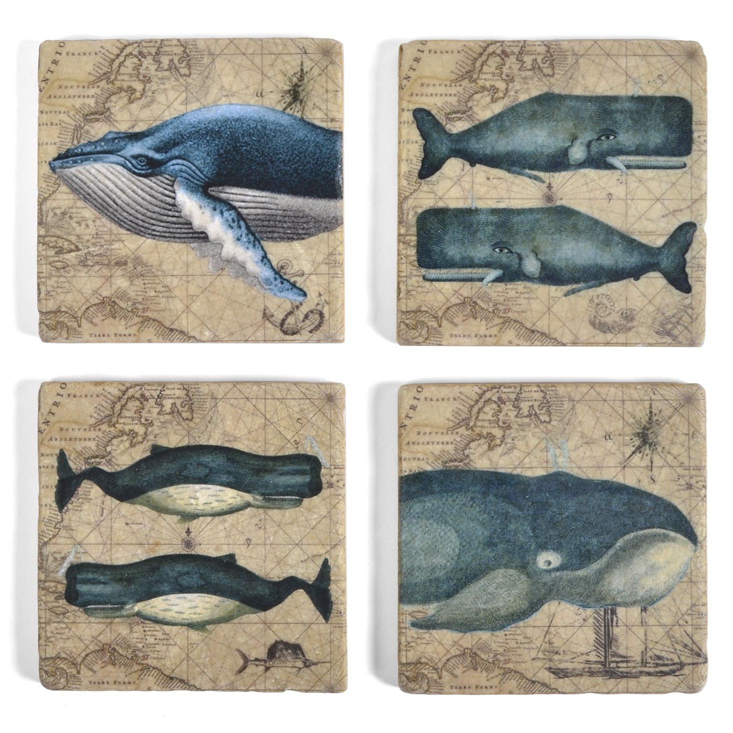 Studio VertuWhales Marble Cup Coasters, Set of 4