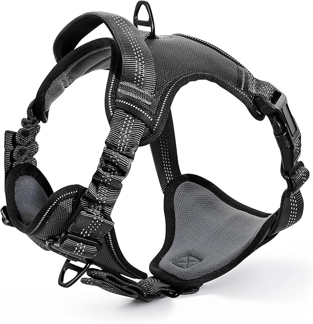 rabbitgoo Dog Harness Medium Large Dog, No Pull Adjustable Dog Walking Harness with 2 Leash Clips Shock-Absorbing Bungee Straps, Soft Padded Pet Vest Harness Reflective with Control Handle