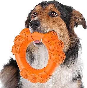 Indestructible Chew Toys for Aggressive Medium Large Dogs - Puppy Teething Rings, Interactive & Heavy Duty