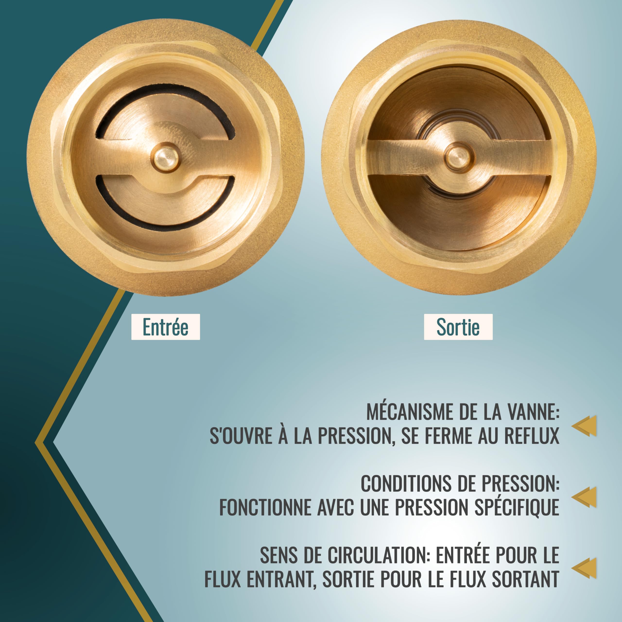 Poppstar Clapet Anti-retour 1 1/4 pouce (Laiton, Inoxydable & Étanche) pour Pompe et Lave-linge